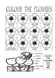 English Worksheet: colours and colours...