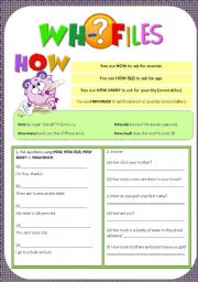 English Worksheet: Wh-Files - How