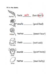 English Worksheet: five sense