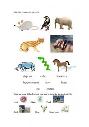 English Worksheet: Animal match quiz, 1 of 2