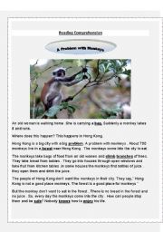 English Worksheet: Reading comprehension problem with monkeys