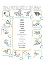 English Worksheet: Rainforest Fauna