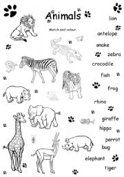 English Worksheet: Animals