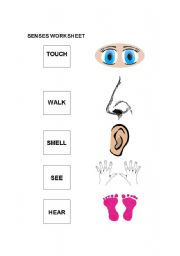 English worksheet: Easy Senses