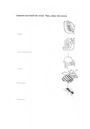 English worksheet: insects