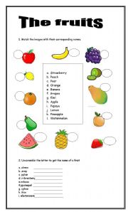 English Worksheet: The fruits