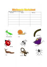 English Worksheet: Minibeasts Grouping