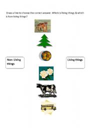 English worksheet: Living & Non living things