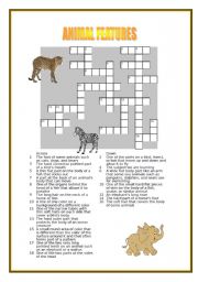 English worksheet: Animal Features - Crossword