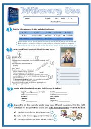 Dictionary Use (Exercises)