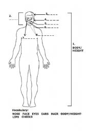 English worksheet: parts of the face