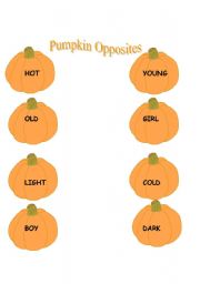 English worksheet: Pumpkin Opposites