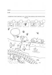 English Worksheet: COUNT THE ANIMALS