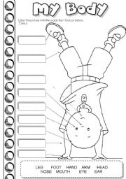 English Worksheet: Caillous body