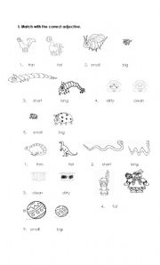 English worksheet: ADJECTIVES