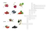English Worksheet: Crossword on Berries