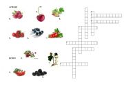 English worksheet: Crossword on Berries