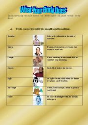 English worksheet: What Your Body Does