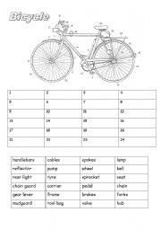 Parts of a Bicycle