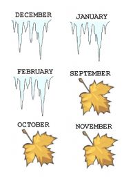 English Worksheet: months of the year