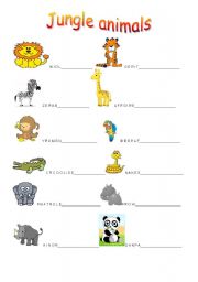 English Worksheet: Jungle animals