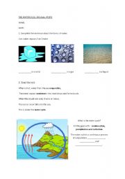 English Worksheet: the water cicle
