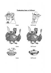 English worksheet: Thanksgiving Same or Different