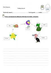 English worksheets on the ocean food chain