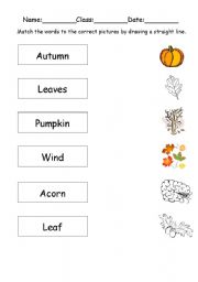 English worksheet: Autumn