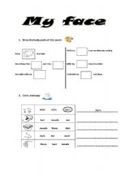 English worksheet: My face