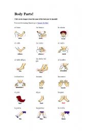 English Worksheet: body parts