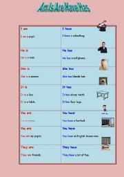English worksheet: Verb to be + have/has