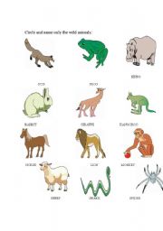 English worksheet: Animals