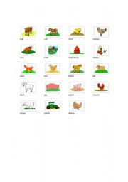 English worksheet: animals farm