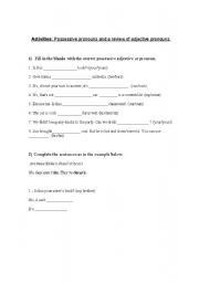 English worksheet: Possessive Pronouns