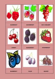 English worksheet: fruit