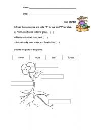 English worksheet: Plants