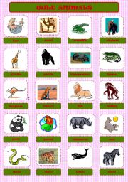 English Worksheet: WILD ANIMALS PICTIONARY