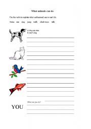English Worksheet: What can animals do