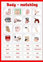 English Worksheet: BODY MATCHING