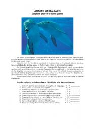 English Worksheet: READING- OUR SWEET FRIENDS (DOLPHINS)