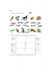 English Worksheet: PETS