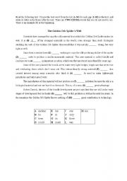 English worksheet: Use of English B2 exercise