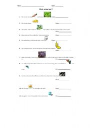 English worksheet: ANIMALS