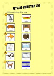 English worksheet: pets and where they live