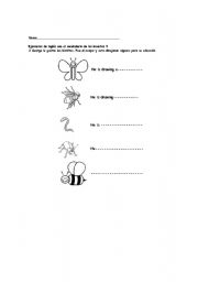 English worksheet: insects