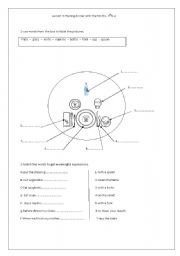 English Worksheet: Having dinner with the family