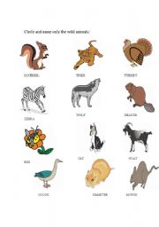 English worksheet: wild animals