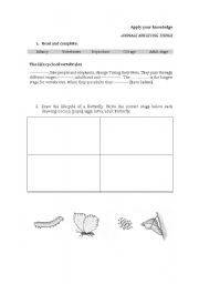 English worksheet: ANIMALS ARE LIVING THINGS