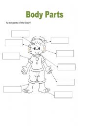 English Worksheet: body parts